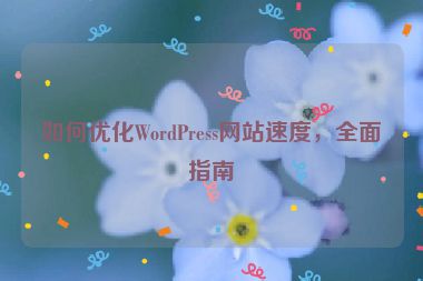 如何優化WordPress網站速度，全面指南